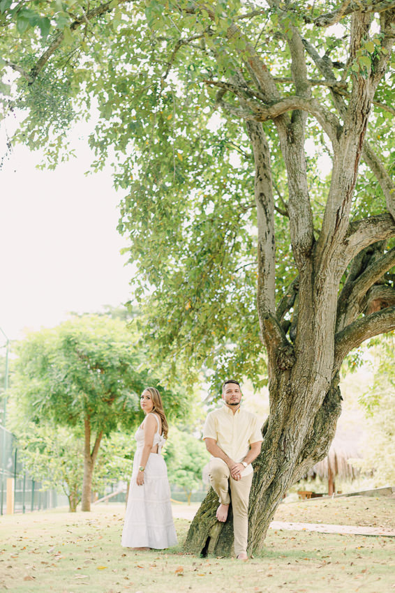 Descripción de la imagen 29